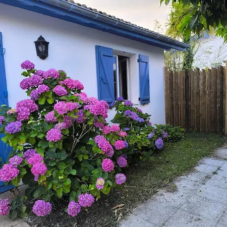 Hébergement de vacances Maisonnette La Tropicale